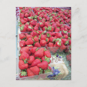 Strawberry Bunch Postcard