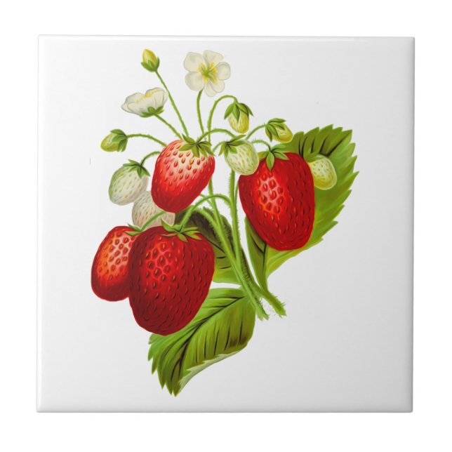 Strawberry Ceramic Tile (Front)