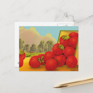 Strawberry Crate Label Vintage Art Blank Postcard
