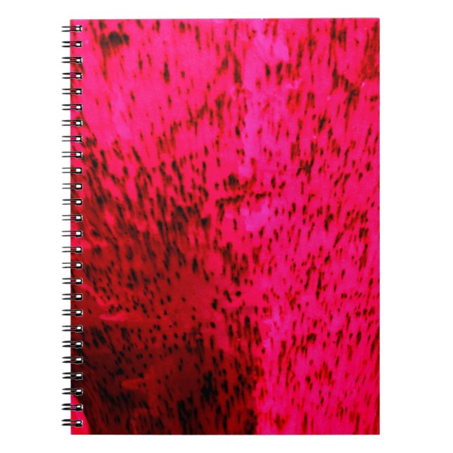 Strawberry Earthenware Spiral Notebook (Front)