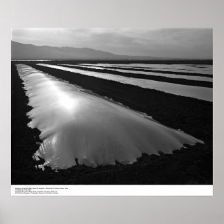Strawberry Fields with Plastic Fumigation Covers Poster