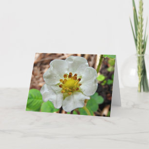 Strawberry Flower Greeting Card, Blank Inside Card