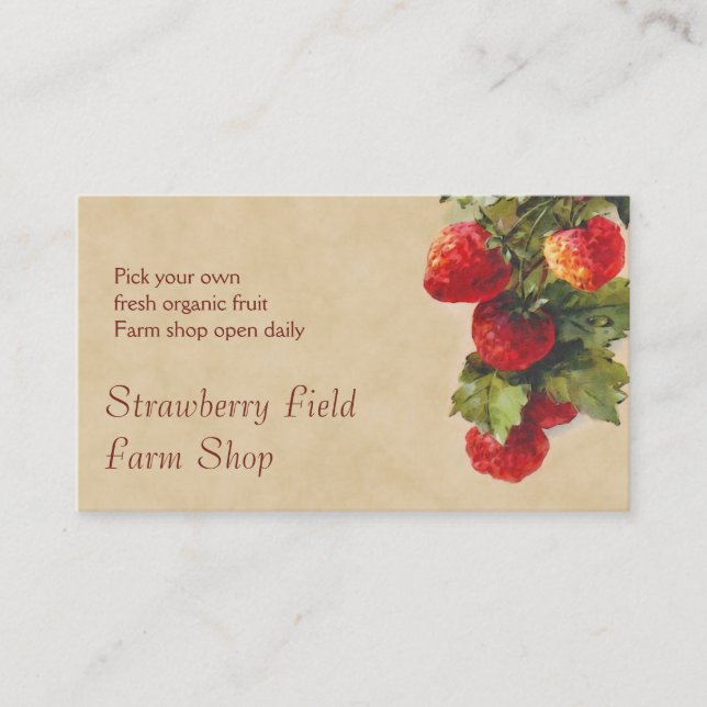 Strawberry fruit sales business card (Front)