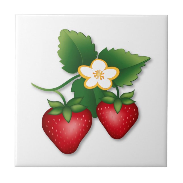 Strawberry Garden to Kitchen Tile (Front)