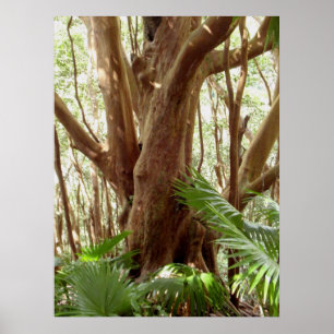 Strawberry Guava Tree and Palms Poster