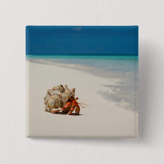 Strawberry Hermit Crab | Coenobita Perlatus 15 Cm Square Badge (Front)