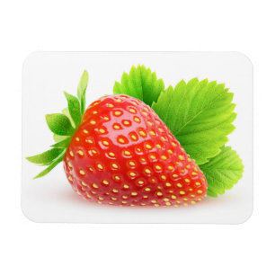 Strawberry Magnet