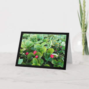 Strawberry Patch Card