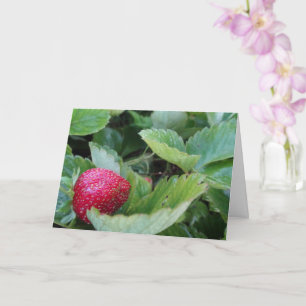 Strawberry Patch Card