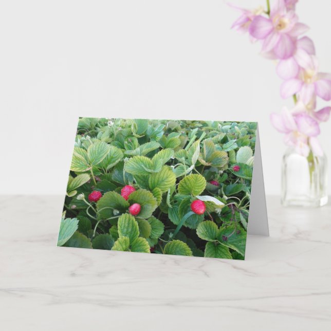 Strawberry Patch Card (Orchid)
