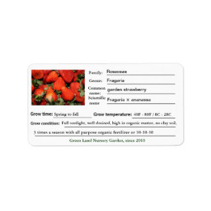 Strawberry plant garden or nursery labels. label