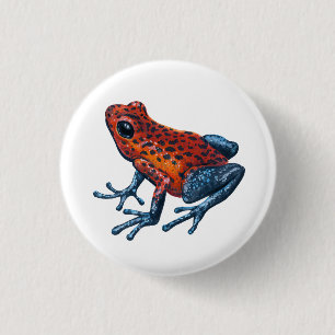 Strawberry Poison dart frog 3 Cm Round Badge