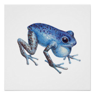 Strawberry Poison dart frog Poster