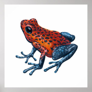 Strawberry Poison dart frog Poster