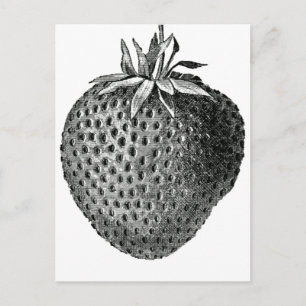 strawberry postcard