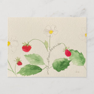 strawberry postcard