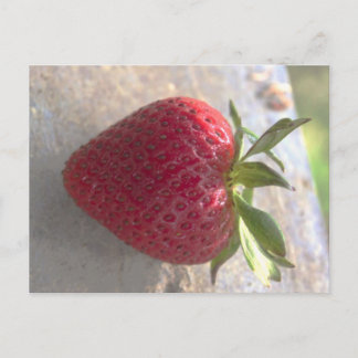 Strawberry Postcard