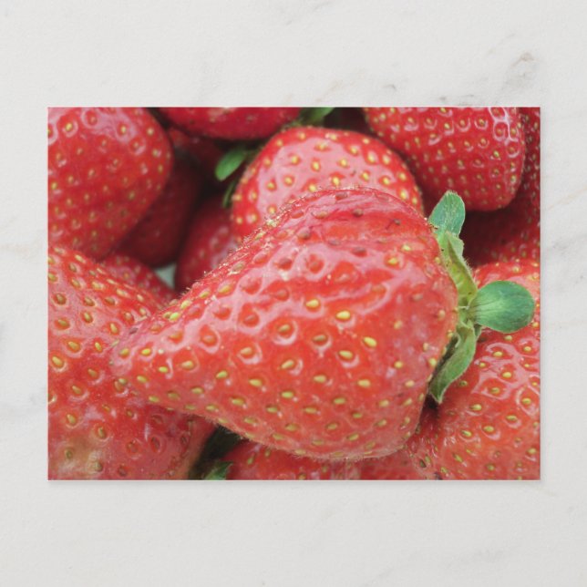 Strawberry Postcard (Front)