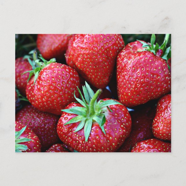 Strawberry Postcards (Front)