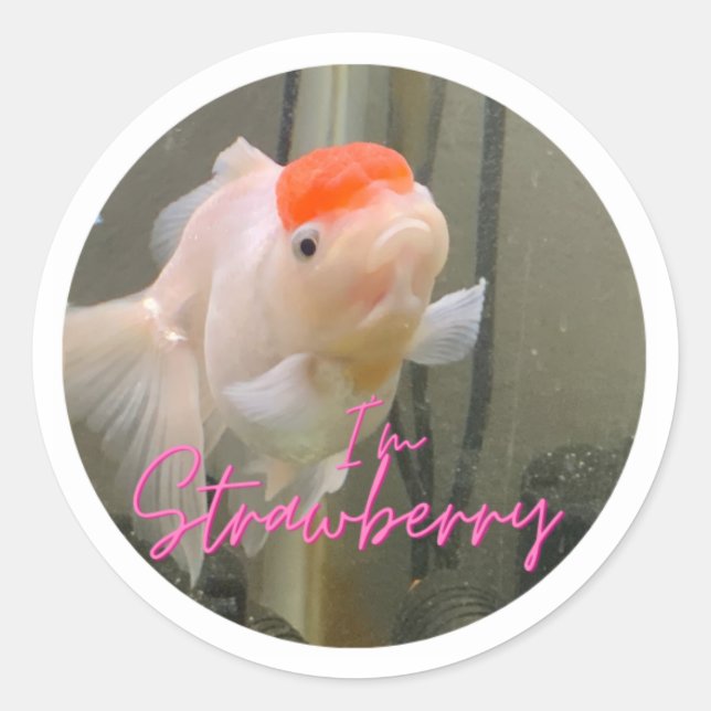Strawberry The Goldfish Sticker (Front)