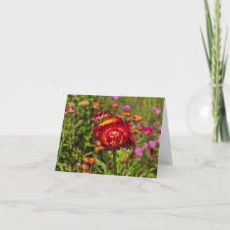 Strawflower garden thank you card