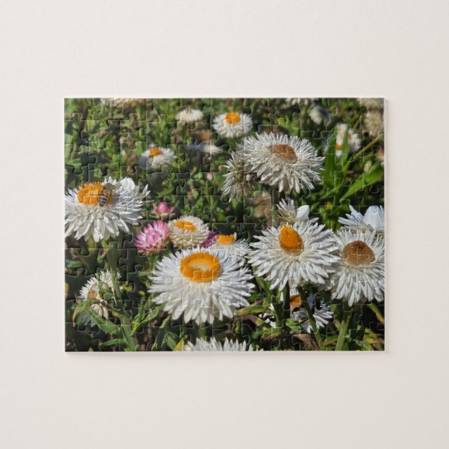 Strawflowers Jigsaw Puzzle (Horizontal)