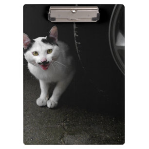 Stray Cat with Moustache Clipboard