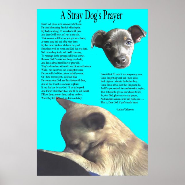 Stray Dog's Prayer Poster (Front)