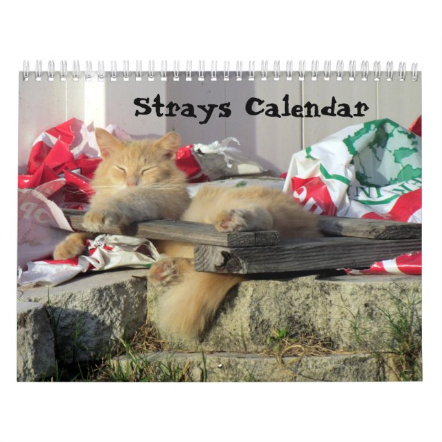Strays Calendar (Encore Edition) (Cover)