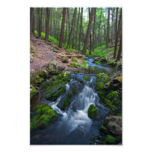 Stream Along the Trail Photo Print