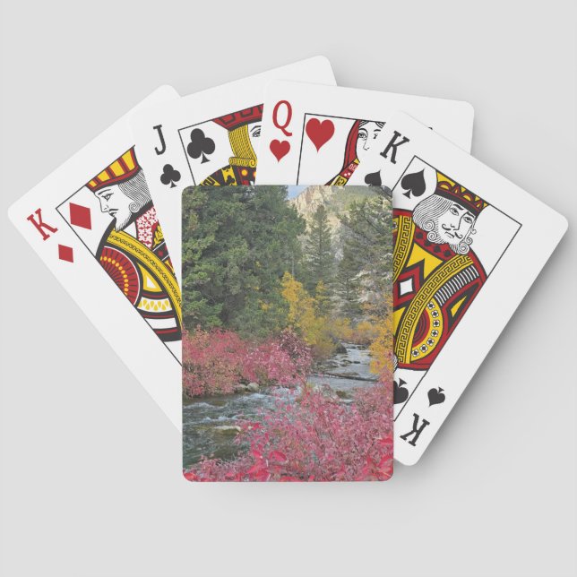 Stream Blooms Playing Cards (Back)