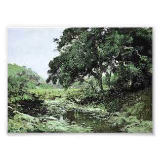 Stream by William Keith (Modified) Photo Print
