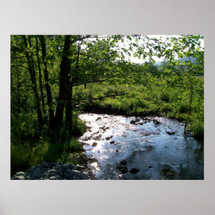 Stream in Cades Cove Poster