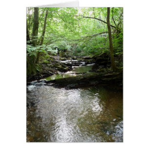 "Stream in Northumberland Woods" (2)
