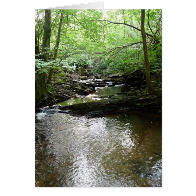 "Stream in Northumberland Woods" (2) (Front)