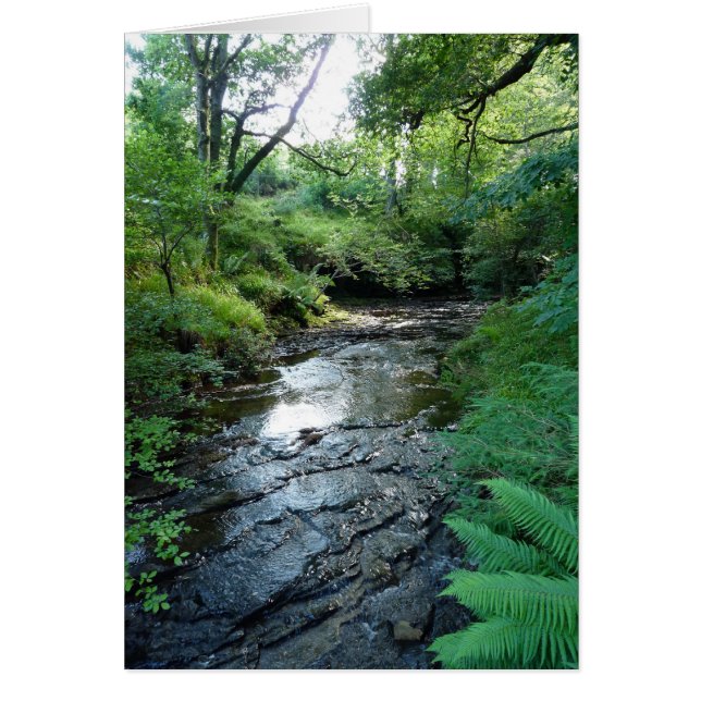 "Stream in Northumberland Woods" (6) (Front)