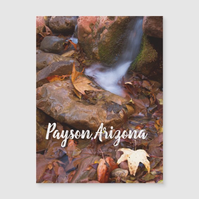 Stream in Payson, Arizona  Magnet (Front)