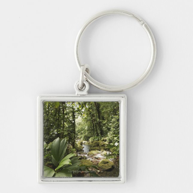 stream in rainforest, Dominica Key Ring (Front)