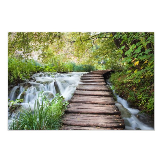 Stream in the Forest Photo Print (Front)