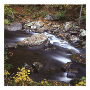 Stream in the Smokies Photo Print