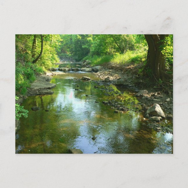 stream near duck hollow postcard (Front)