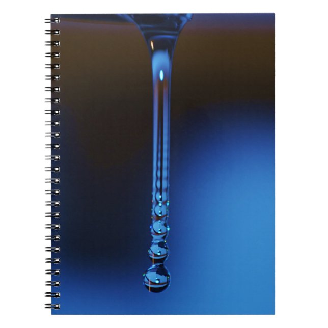 Stream To Drop by Shirley Taylor Notebook (Front)