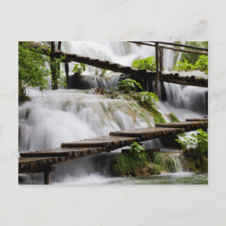 Streams Postcard