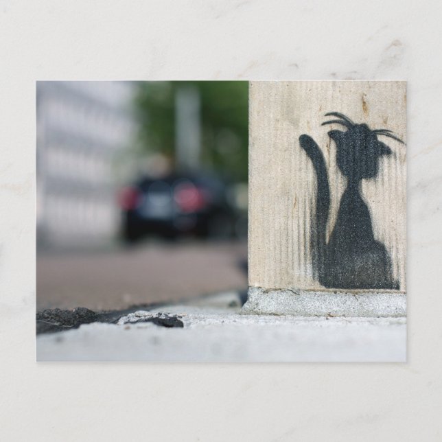 street cat postcard (Front)