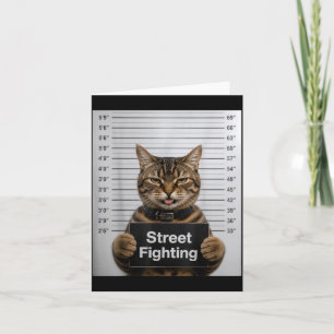 Street Fighting Funny Cat Humour For Kitten Pet Card
