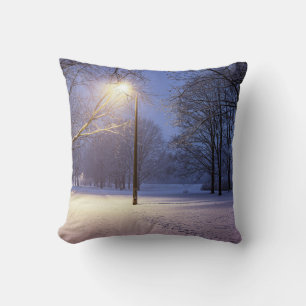 Street lights and covered in snow trees cushion