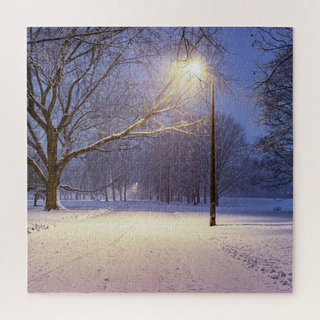 Street lights and covered in snow trees jigsaw puzzle (Vertical)