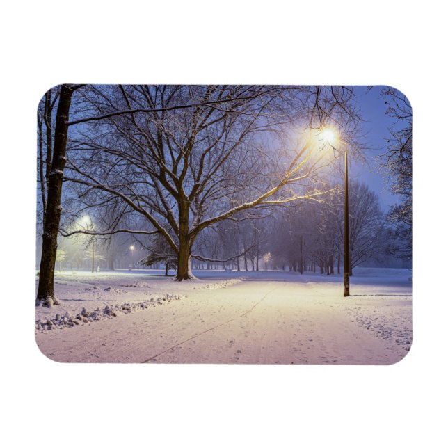 Street lights and covered in snow trees magnet (Horizontal)