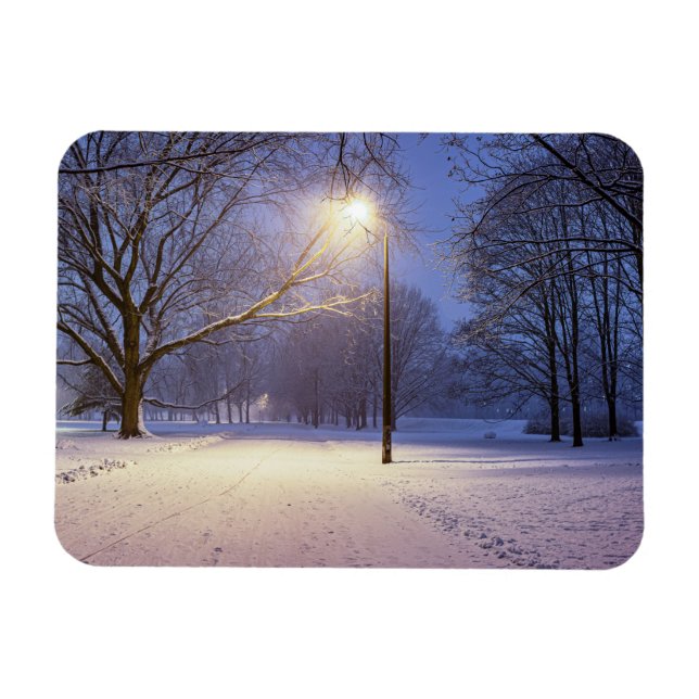 Street lights and covered in snow trees magnet (Horizontal)