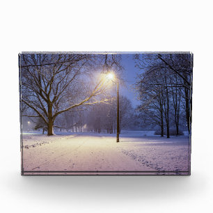 Street lights and covered in snow trees photo block